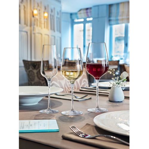 Sublym - 6 Verres À Pied  Multiusages 35 Cl
