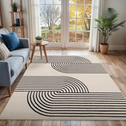 Tapis Scandinave Rétro Blanc/noir 200x275 Cm Constance