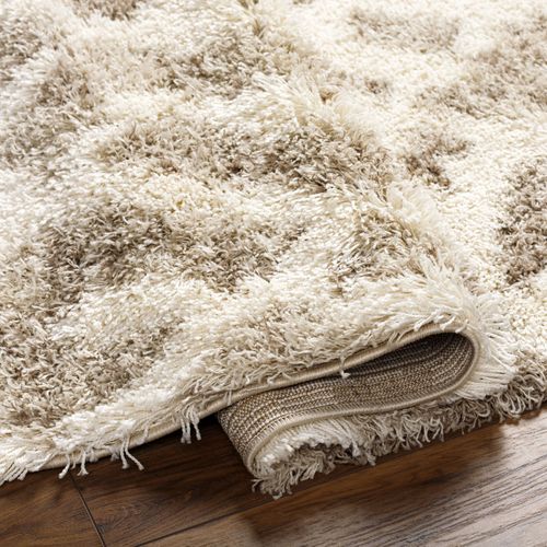 Tapis Shaggy Scandinave Bohème Blanc/beige 160x220 Cm Paula