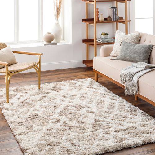 Tapis Shaggy Scandinave Bohème Blanc/beige 160x220 Cm Paula