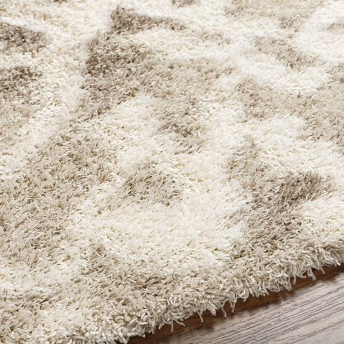 Tapis Shaggy Scandinave Bohème Blanc/beige 160x220 Cm Paula