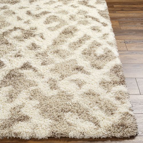 Tapis Shaggy Scandinave Bohème Blanc/beige 160x220 Cm Paula