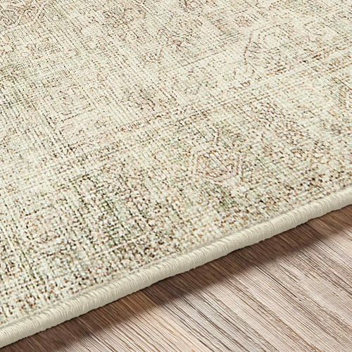 Becki Owens X Livabliss Tapis Vintage Vert Sauge/crème 200x275 Cm Margot