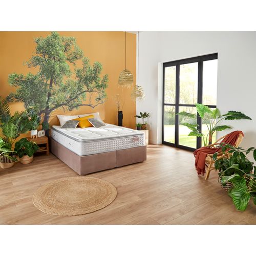 2 taies d'oreiller 65x65 cm DREAMEA PERCALE BEIGE