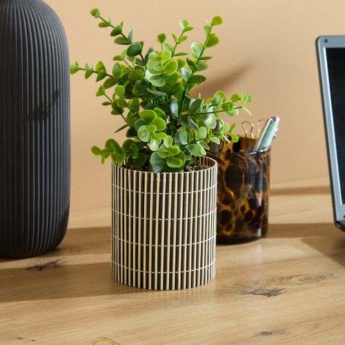 Plante artificielle bico noire VERA Noir