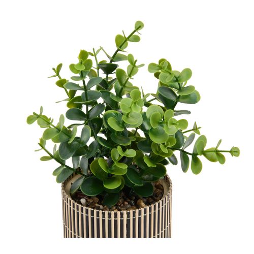 Plante artificielle bico noire VERA Noir