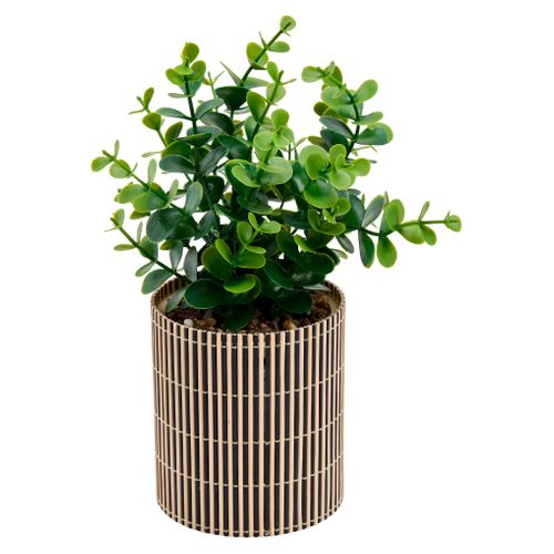 Plante artificielle bico noire VERA Noir