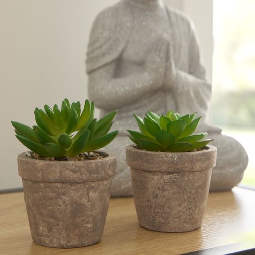 Succulente artif H. 9 cm PTIPO Vert vue d'ambiance 1