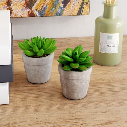 Succulente artif H. 9 cm PTIPO Vert