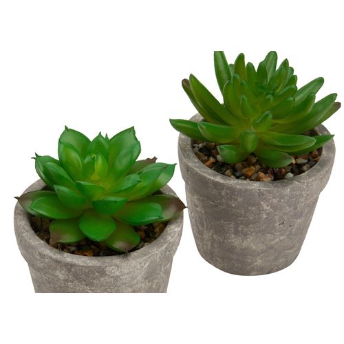 Succulente artif H. 9 cm PTIPO Vert vue détaillée