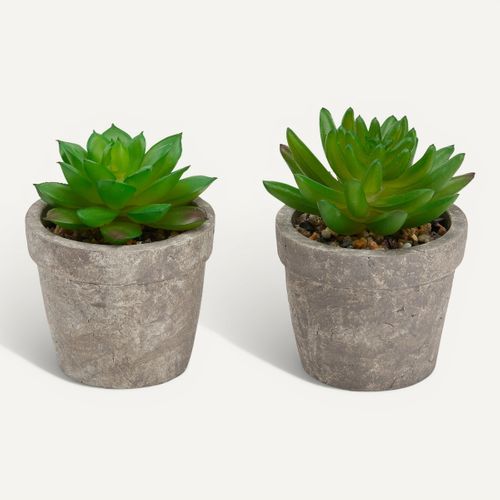 Succulente artif H. 9 cm PTIPO Vert vue de face