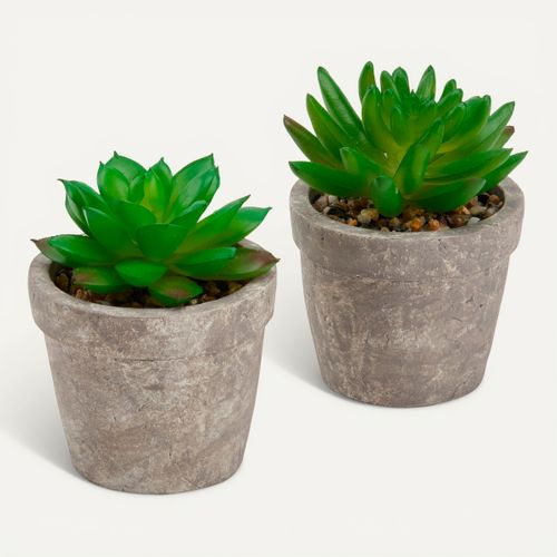Succulente artif H. 9 cm PTIPO Vert vue 3/4
