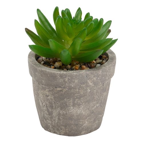 Succulente artif H. 9 cm PTIPO Vert