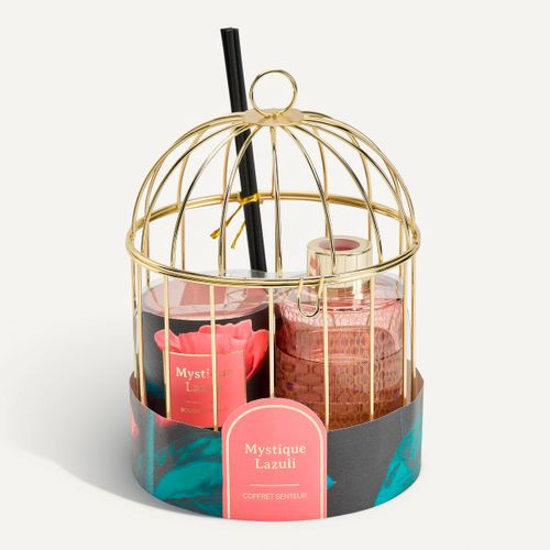Cage senteur H. 24 cm MYSTI Rose vue 3/4