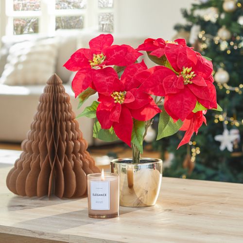Poinsettia artif H. 45 cm VAKY Vert vue d'ambiance 1