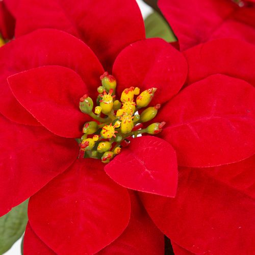Poinsettia artif H. 45 cm VAKY Vert vue détaillée