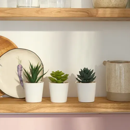 Lot 3 mini plantes Livy Vert vue d'ambiance 1