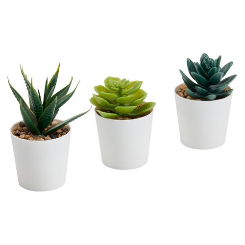 Lot 3 mini plantes Livy Vert vue 3/4