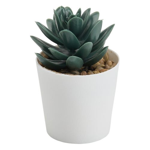 Lot 3 mini plantes Livy Vert