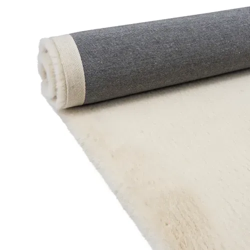 Tapis 200x290 cm JACOB Beige vue accessoires