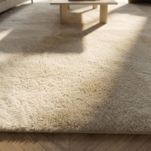 Tapis 200x290 cm JACOB Beige