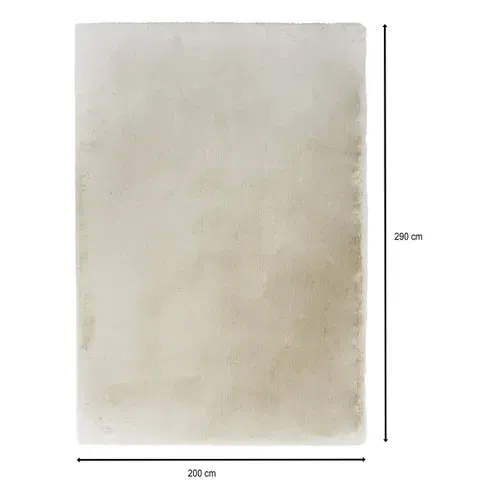 Tapis 200x290 cm JACOB Beige