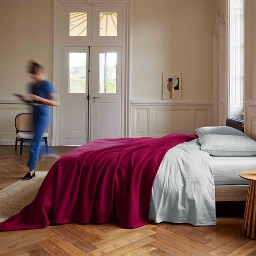 Couverture Teddy Framboise 240 X 260 Cm Rose Foncé