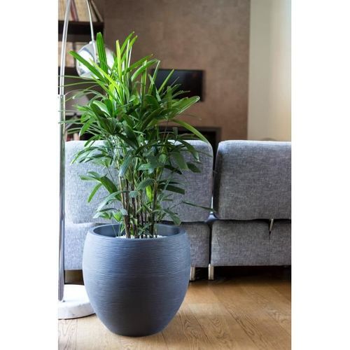 Pot Rond Graphit - 46l - Ø50cm X H 45 Cm - Gris Anthracite