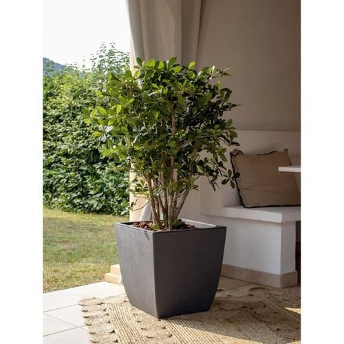 Bac à Fleurs Diva Basalt - Gris Anthracite - 42 L - 43,5 X 43,5 X H.78.2 Cm - Bac Intérieur Amovible
