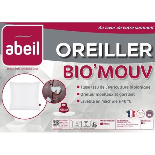 Oreiller Carré 60 X 60 Cm — Coton Bio, Garnissage Naturel, Lot De 2