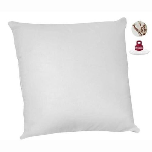 Oreiller Carré 60 X 60 Cm — Coton Bio, Garnissage Naturel, Lot De 2