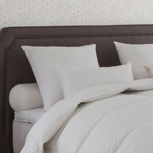 Oreiller Alaska 40% Duvet - Medium 50 X 70 Cm Blanc