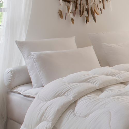 Oreiller moelleux coton percale 50x70 cm