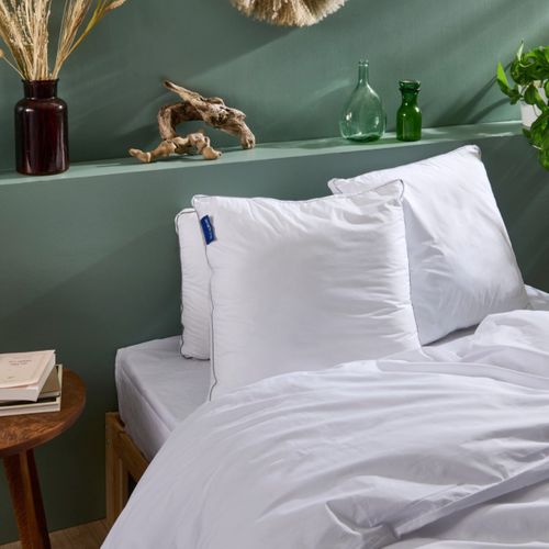 Oreiller 65x65cm Sensation Duvet Premium
