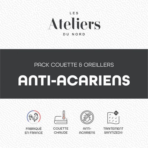 Pack Couette 240x260cm + 2 Oreillers Anti Acariens