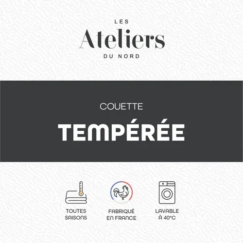 Couette Tempérée Douce 240x260cm