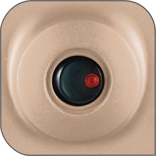 Barbecue Électrique Easygrill Bg90c814