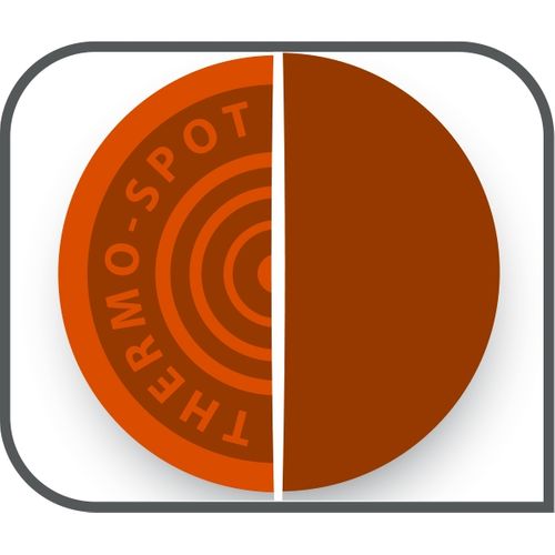 Raclette+ pierrade ® TEFAL RE45A812 noir