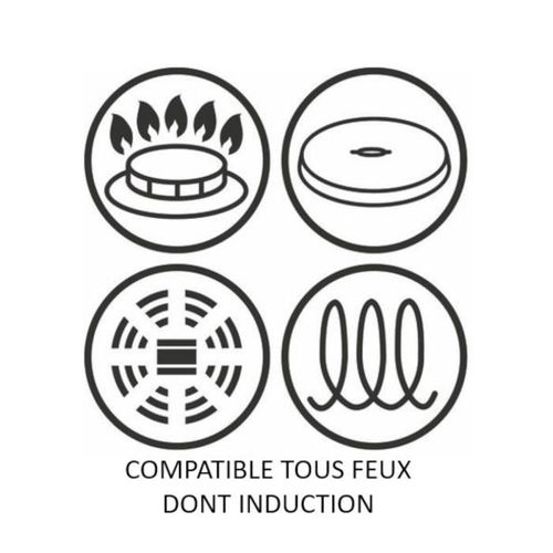 Poele 26 Cm Unlimited Tous Feux Dont Induction - Fabrication Française - Noir