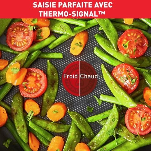 Ingenio Poele 24 Cm, Non Induction, Revetement Antiadhésif, Fabriqué En France, Easy Plus L150