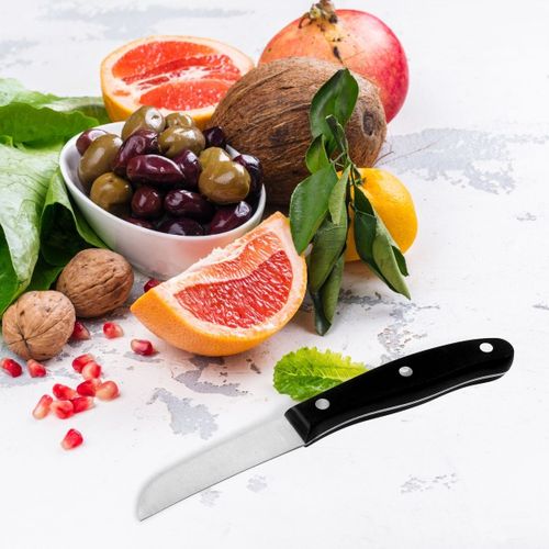 Ensemble De 4 Couteaux à Légumes 20 Cm Fit