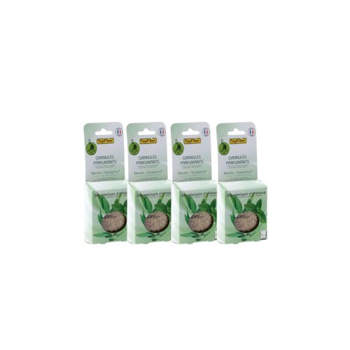 Lot De 16 Sachets De Parfum Pour Aspirateur Odeur Menthe/eucalyptus Topfilter