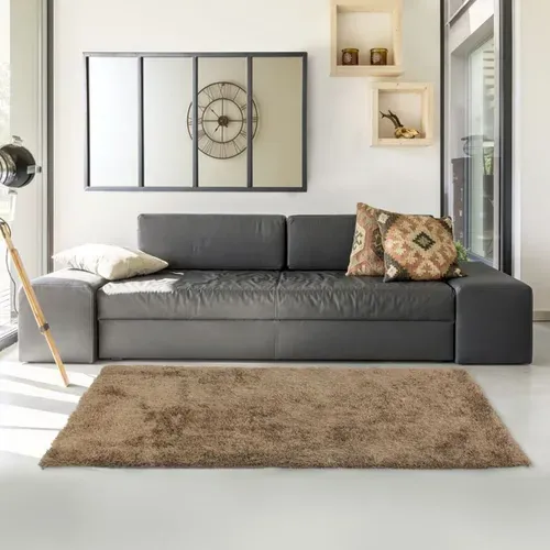 Tapis de salon en fourrure pour chambre à coucher, grand tapis de sol, doux et moelleux, à poils longs, pour salon, chambre d'enfant, tapis d'intérieur antidérapant Tapis de salon en fourrure pour chambre à coucher, grand tapis de sol, doux et moelleux, à poils longs, pour salon, chambre d'enfant, tapis d'intérieur antidérapant