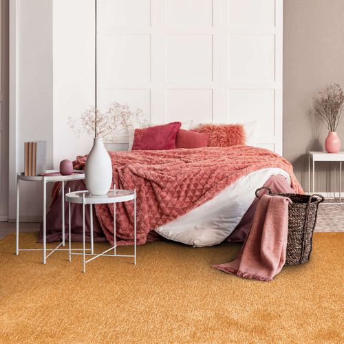 Tapis Lumineux Ocre 160x230