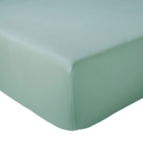 Drap-housse Percale De Coton Uni Bonnet 40 Cm - 160x200 Cm - Turquoise