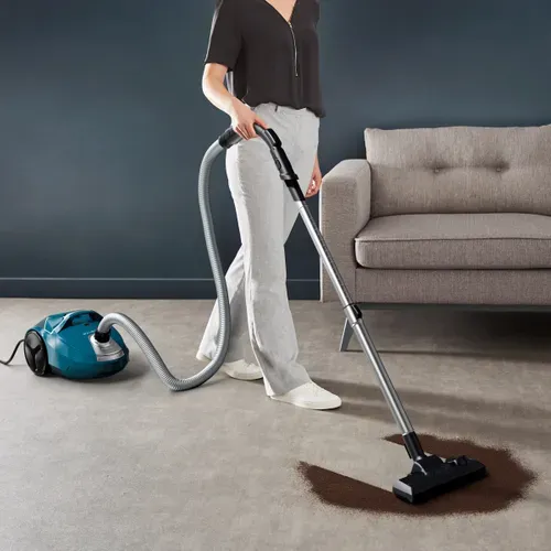 Aspirateur Traîneau Rowenta Ro3950ea