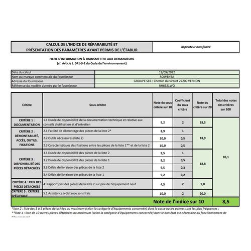 Aspirateur Balai Rechargeable 22v Gris/bleu - Rh6921wo