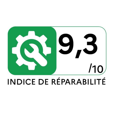 Aspirateur Traineau Green Force Max 750w 75db Noir/bordeaux - Ro4933ea