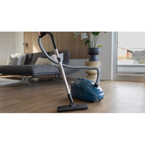 Aspirateur Traîneau Avec Sac Rowenta Ro3126ea