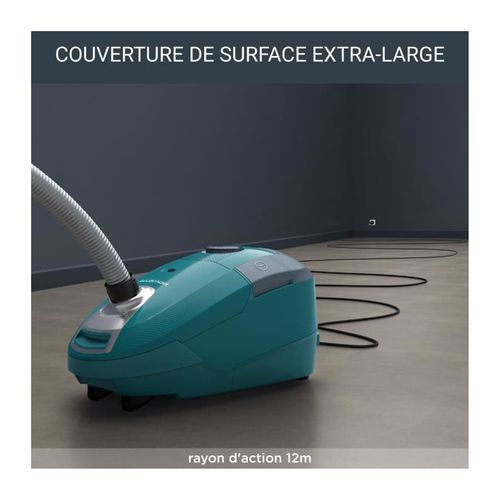Aspirateur Traineau 900w 76db Bleu/gris - Ro3143ea